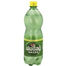 Uludag Gazoz 1L Pet (12)