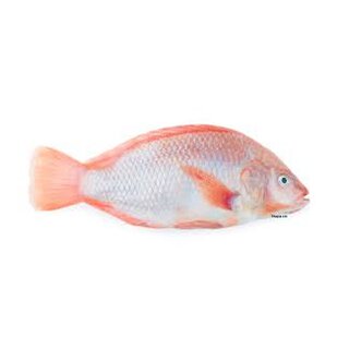 DaySeeDay Tilapia rot 300-500gr, Kg-Preis