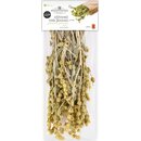 Bagatzounis Wald Bergtee Bndel 40gr